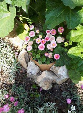 Nagyné Ékes Erika kertje 02